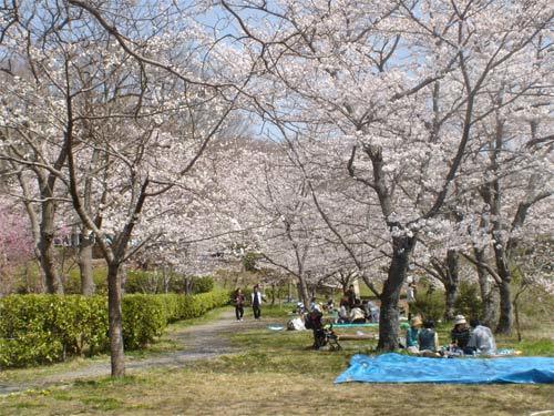 平戸橋公園