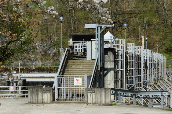 角川ダム